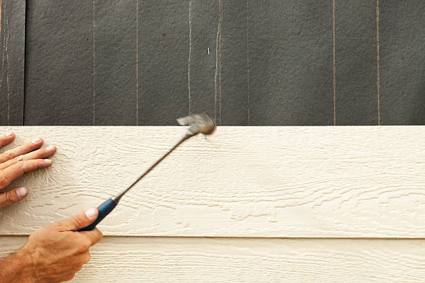 Best Vinyl Siding Installation  in Bluff City, TN